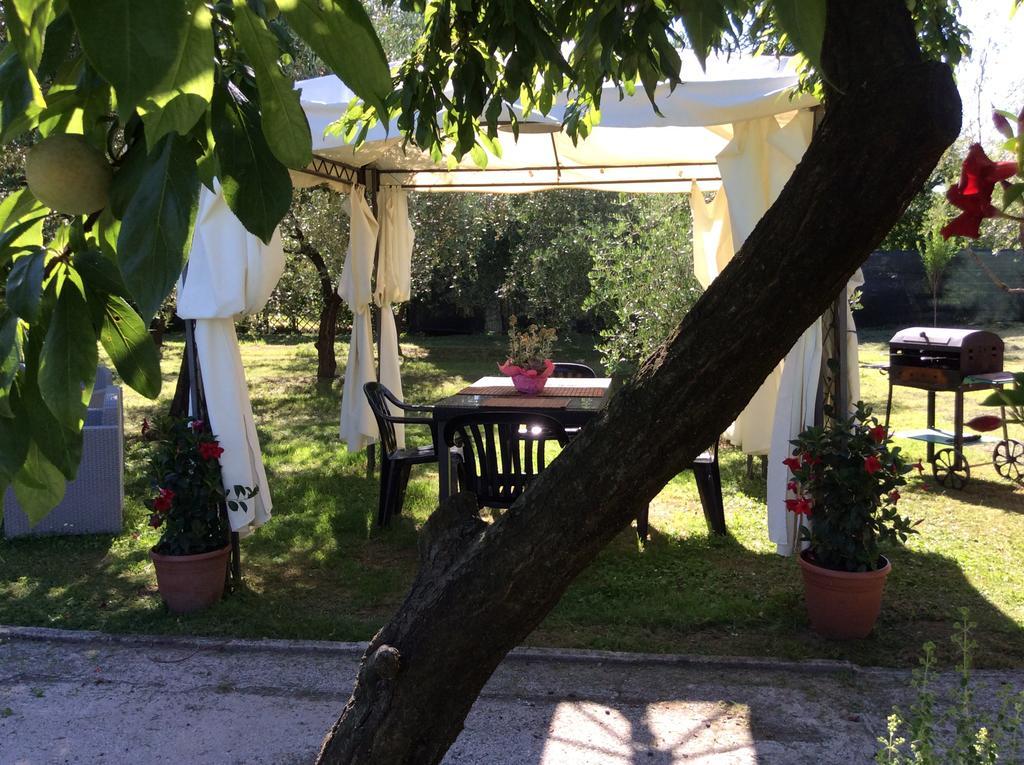 Tenuta Fagnani Lucca Exterior foto